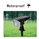 Solar Light